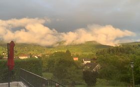 Longue Vue En Arbois